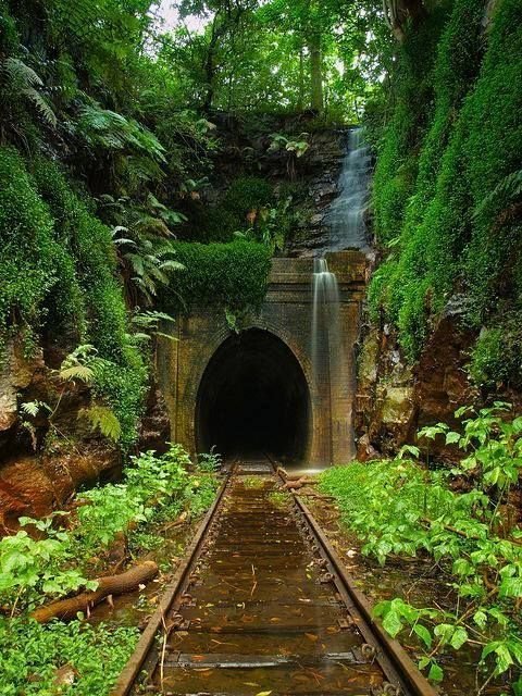 Самые опасные, красивые и невероятные туннели в мире. Вы только посмотрите на это!